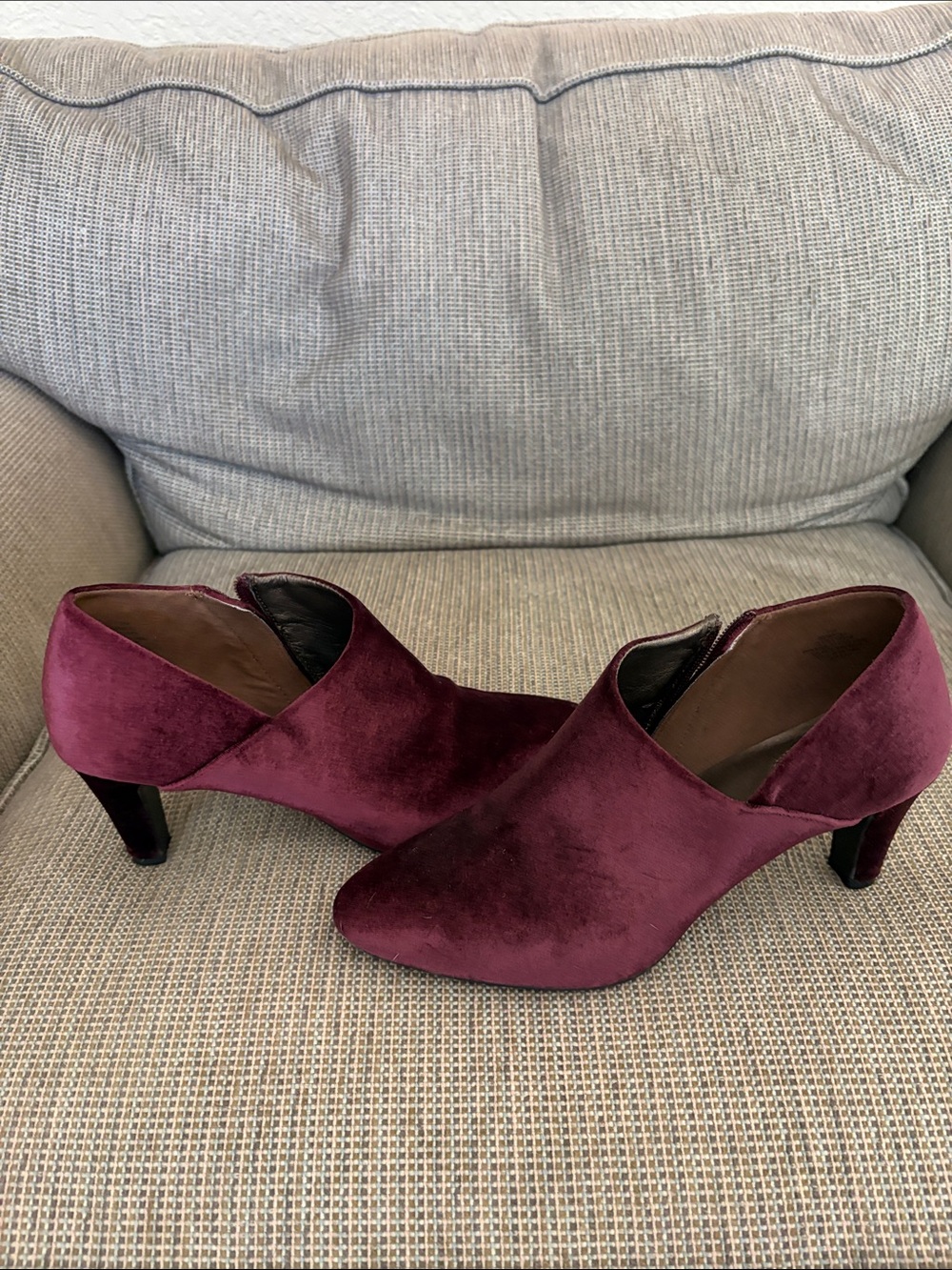 Women's Bandolino Velvet Ankle Booties in Wine